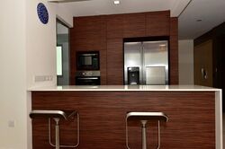 Eight Riversuites (D12), Condominium #560793701